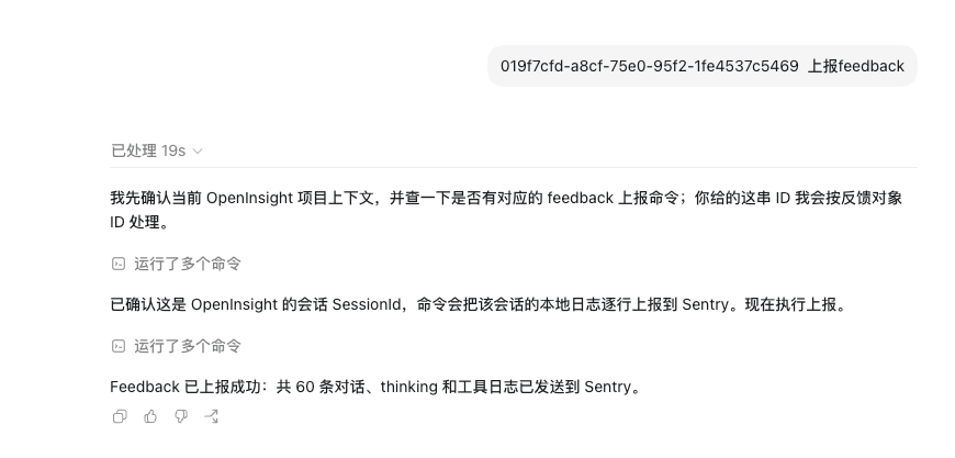在 Codex 中上报 feedback